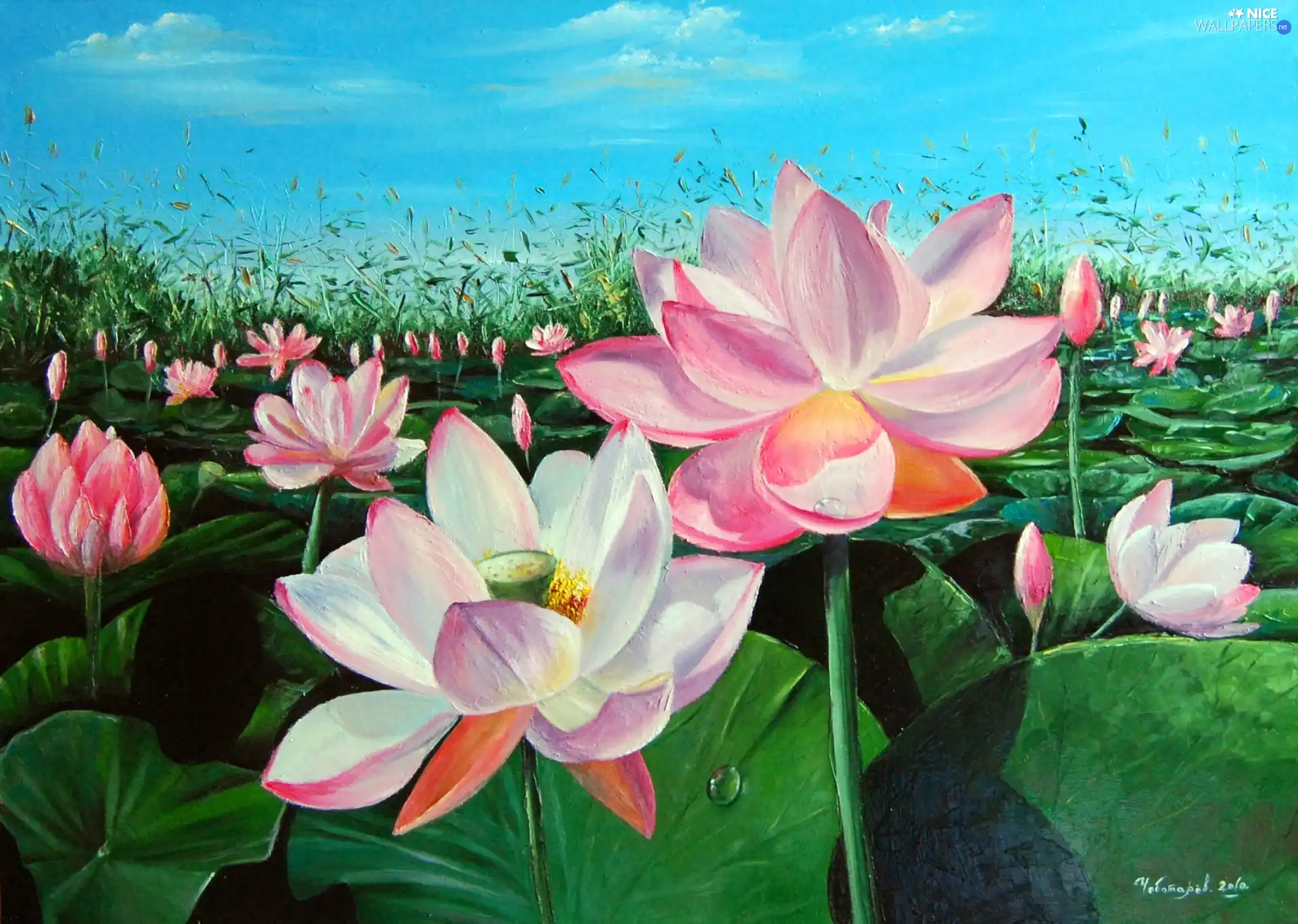lotus
