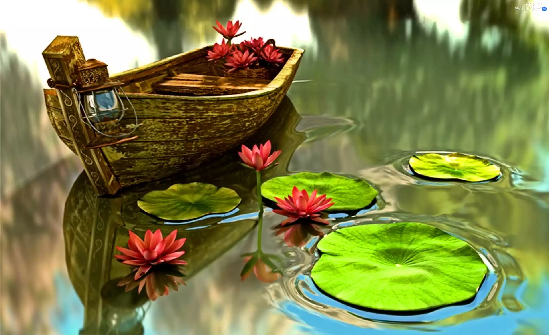 water, Boat, lilies