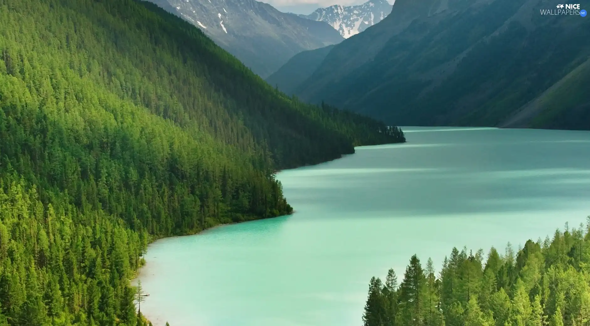 Mountains, viewes, water, trees