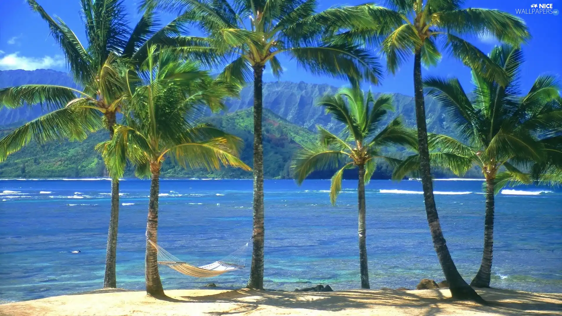 Palms, Hammock, Kauai, water, Aloha State Hawaje