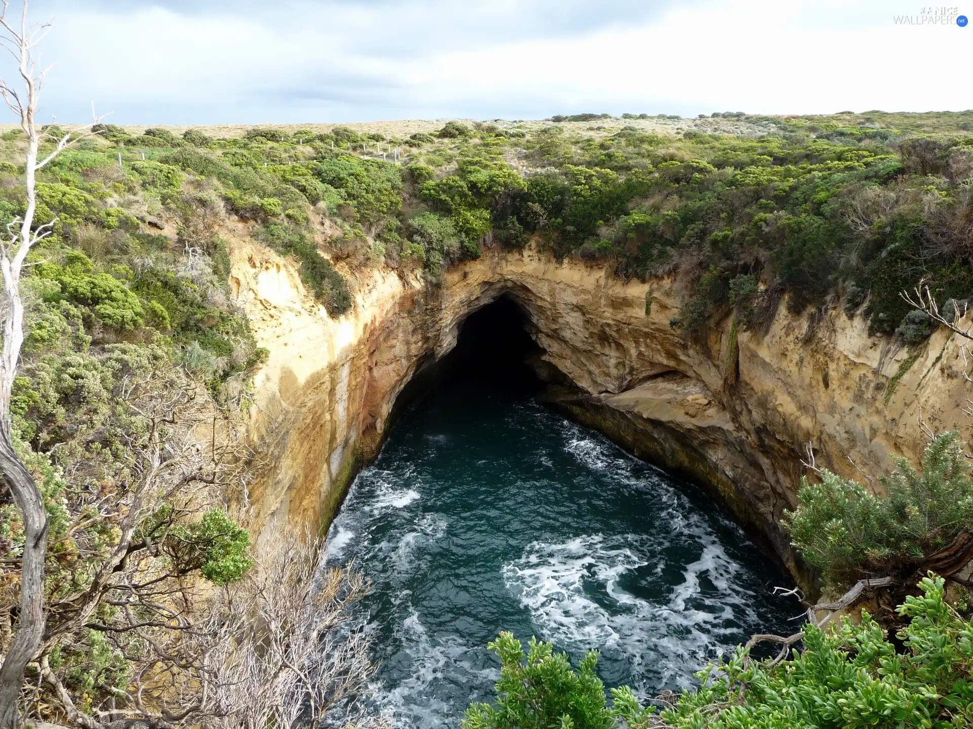 water, cave, scrub