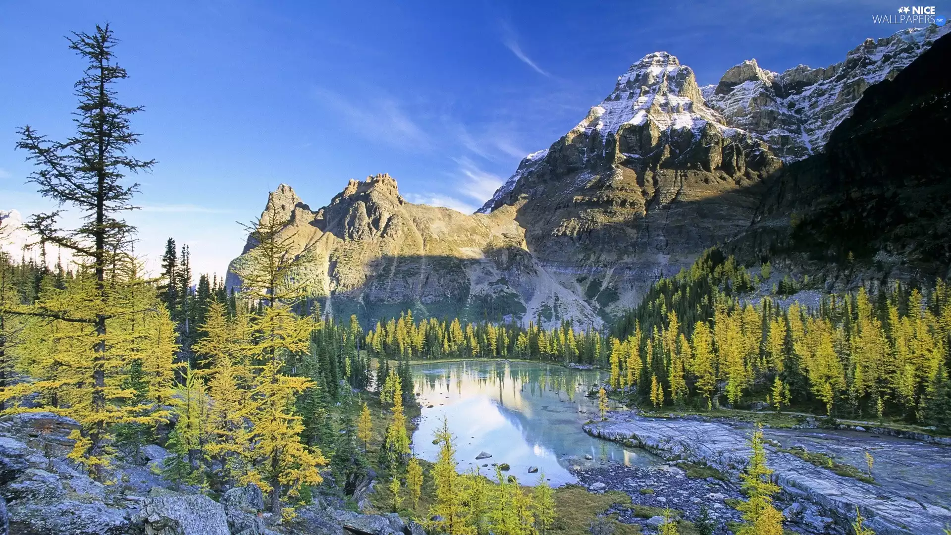 viewes, water, Sky, trees, Mountains