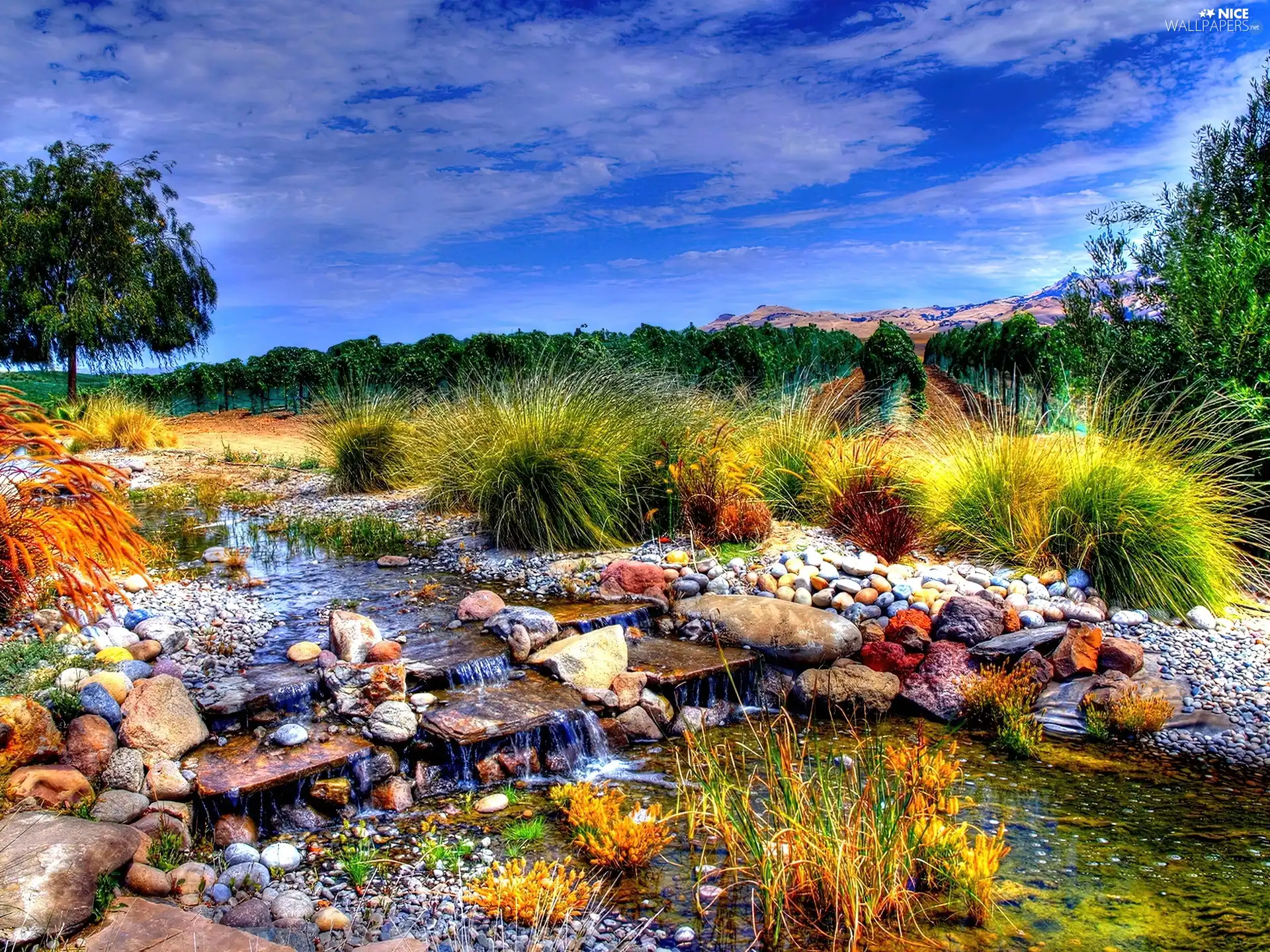 water, Stones, trees, viewes, Sky