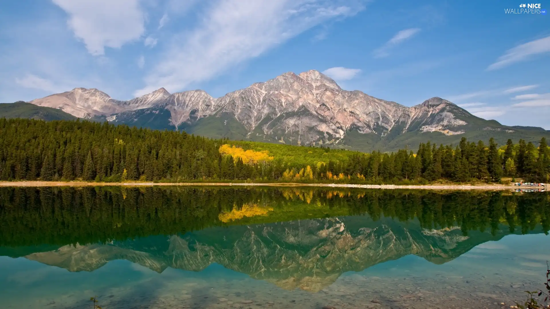 trees, Mountains, water, viewes