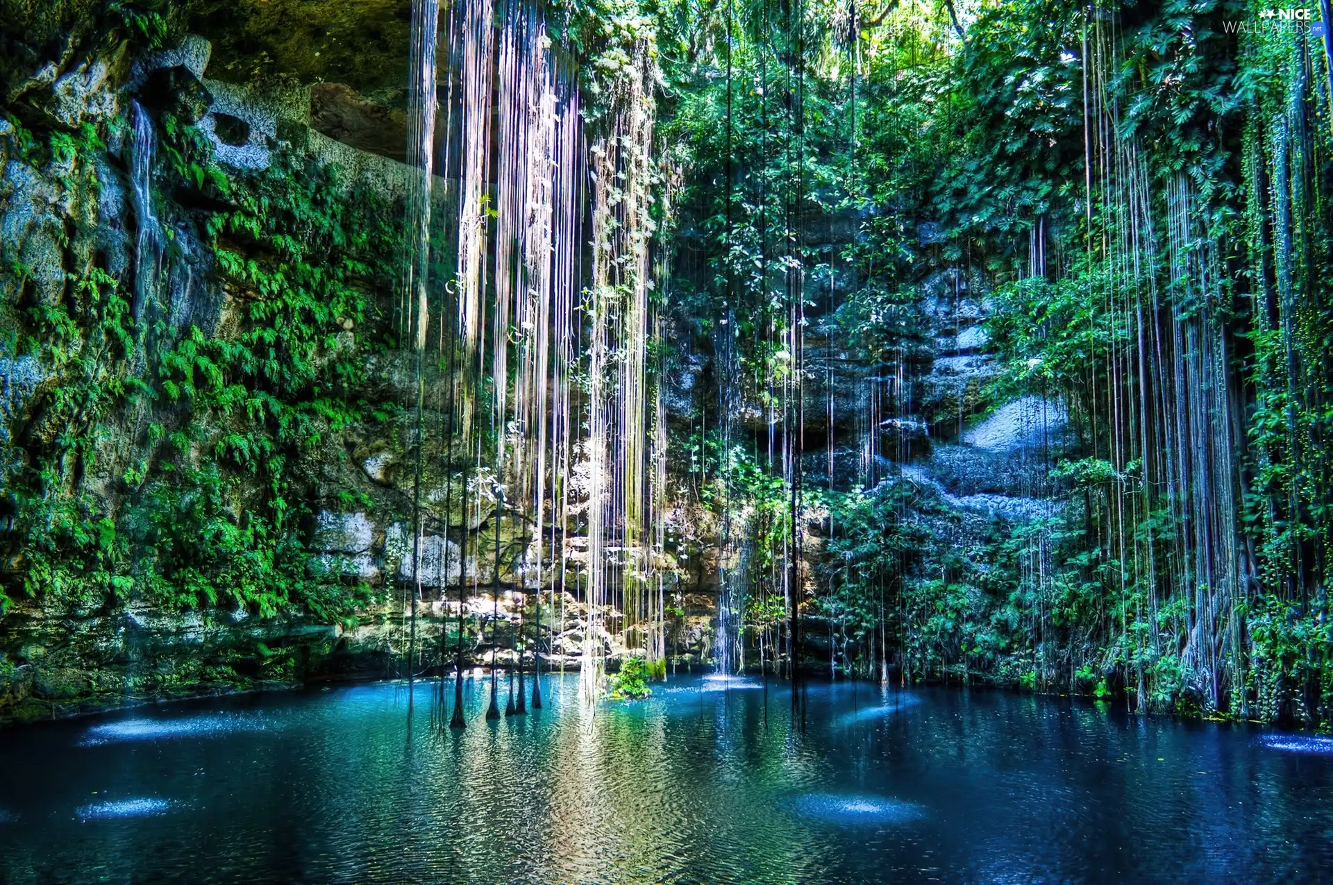 water, waterfalls, VEGETATION