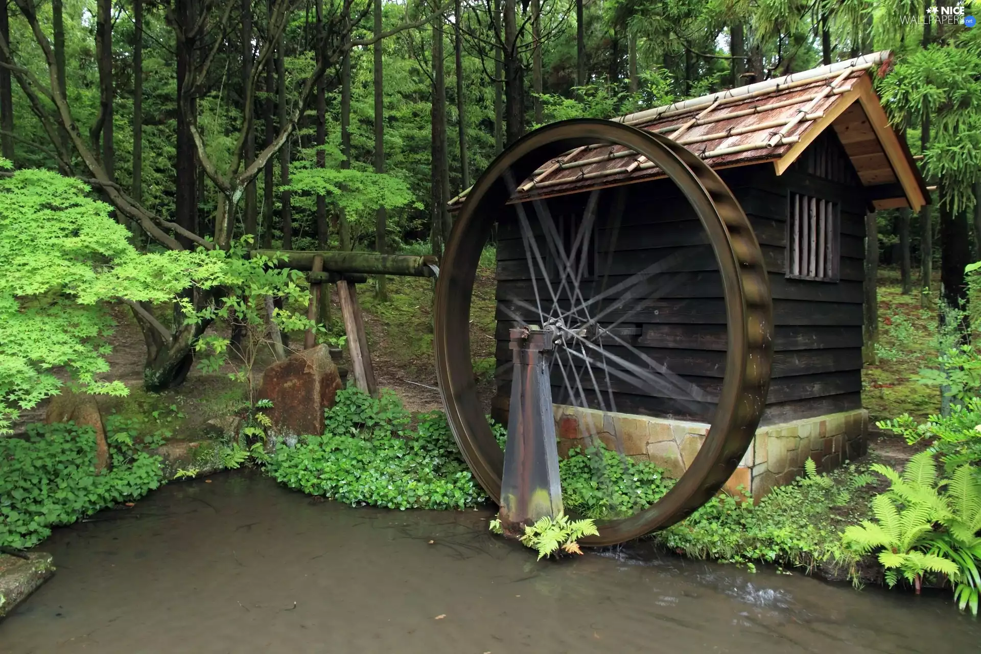 water, forest, Windmill
