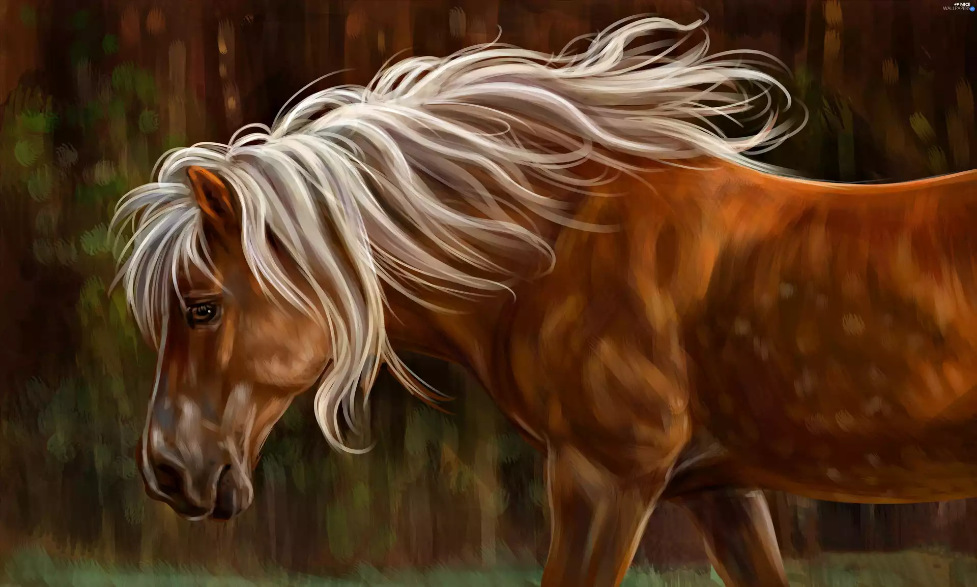 picture, watercolor, mane, White, Horse