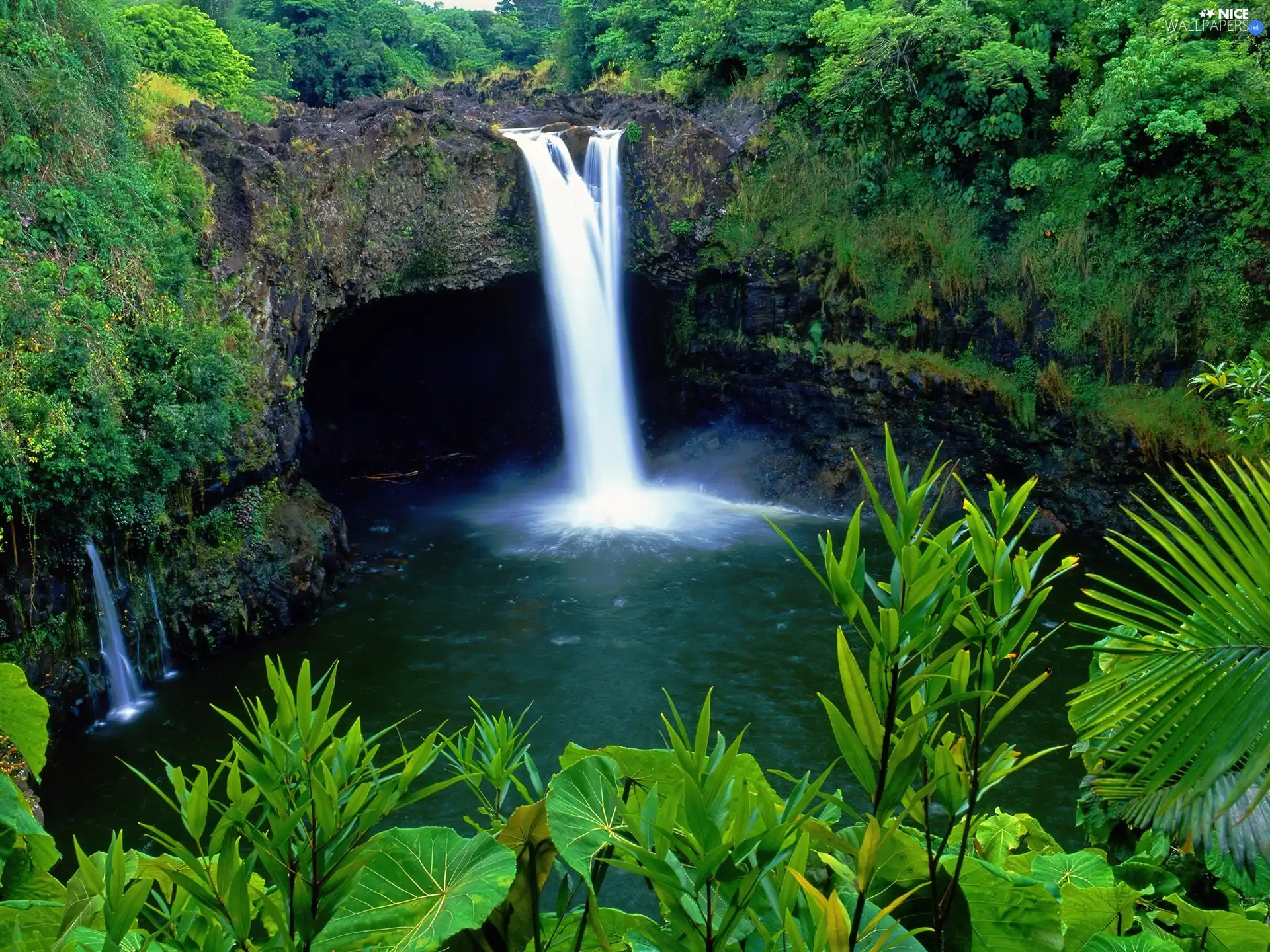 forest, waterfall