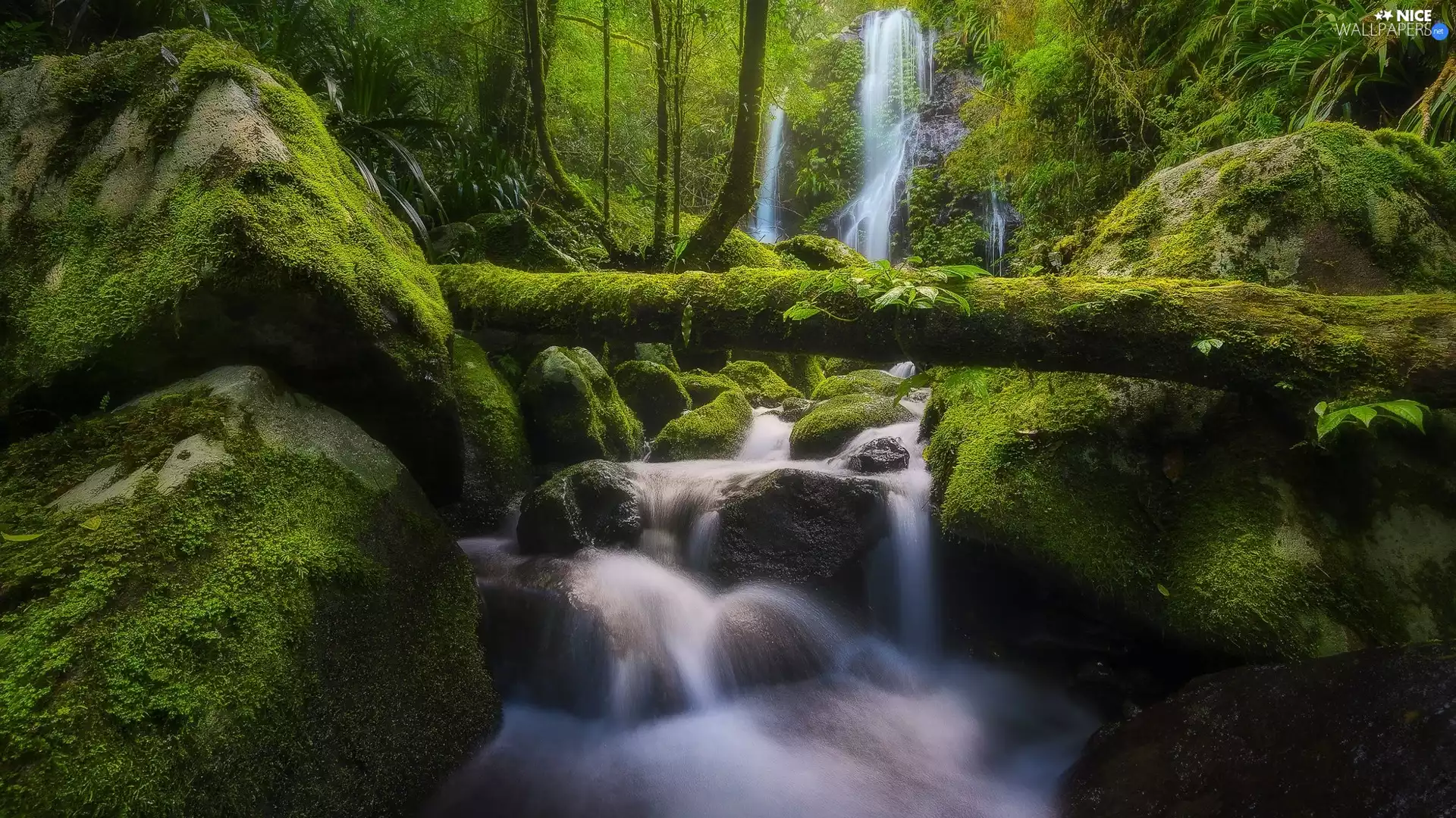 forest, Stones, Moss, waterfall