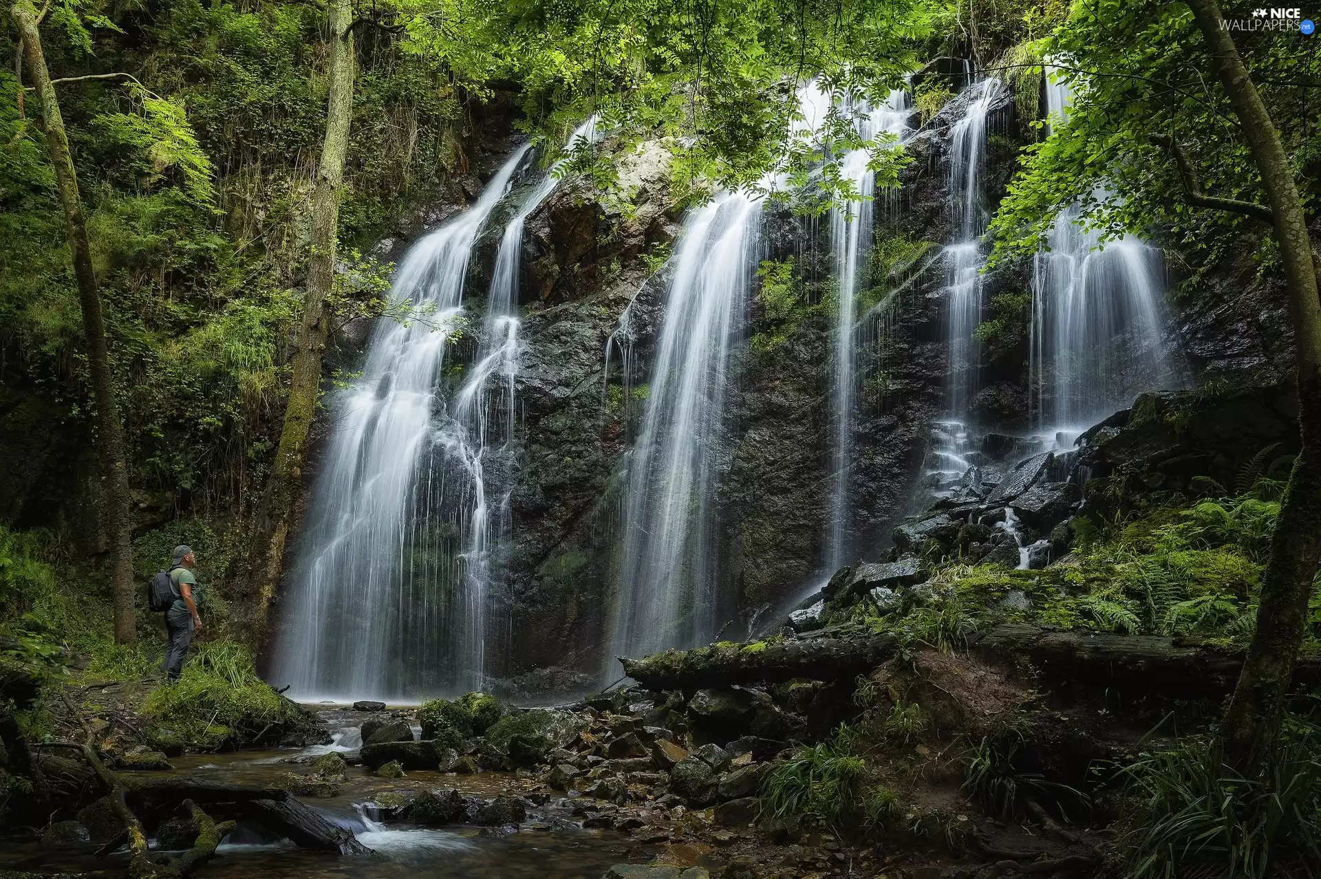 waterfall, Rocks, forest