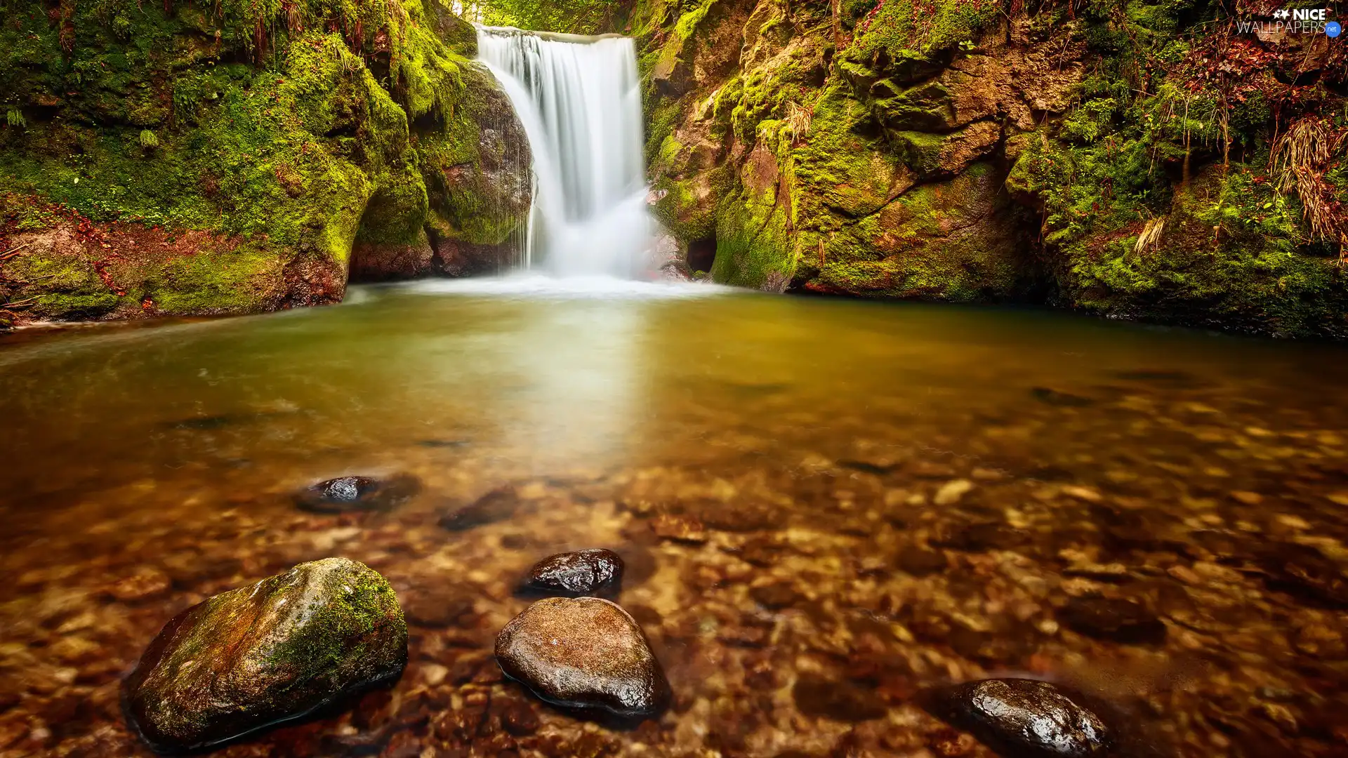 waterfall, Stones, forest