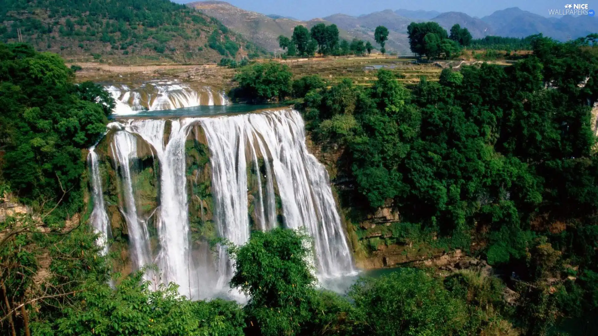 forest, viewes, waterfall, trees