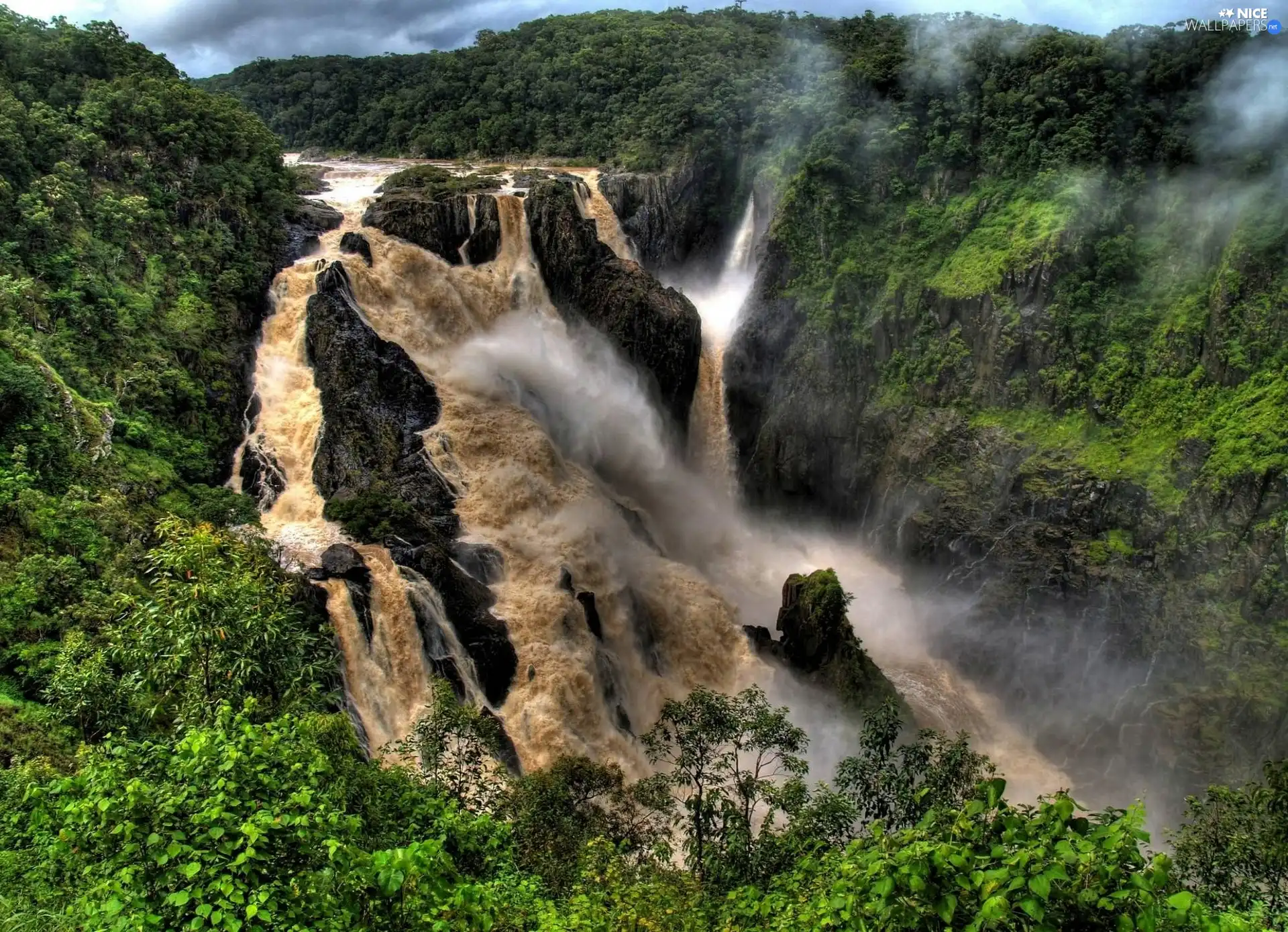 jungle, rocks, waterfall, River