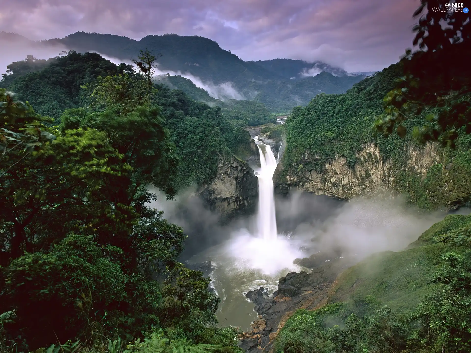 jungle, San Rafael Falls, waterfall