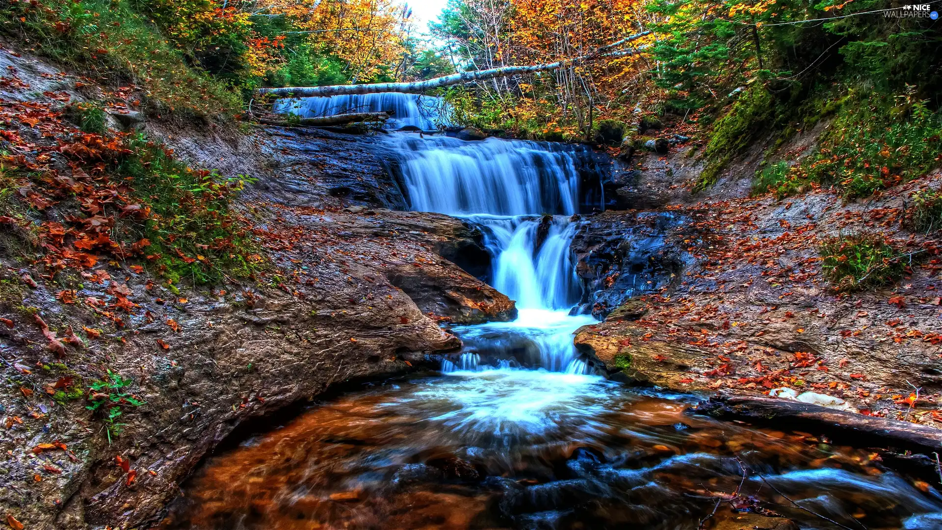 waterfall, River, trees, viewes, autumn