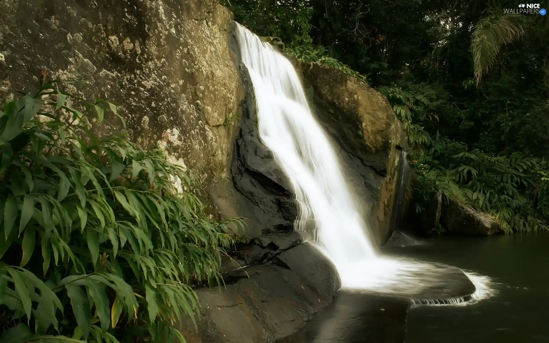 waterfall, Rocks, Bush, River, green ones