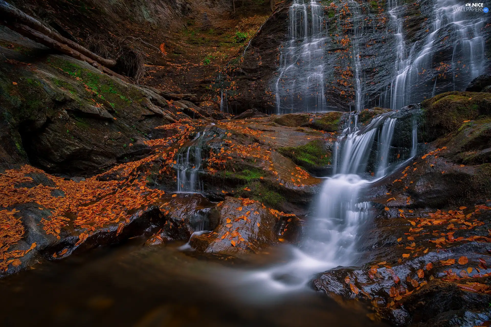 rocks, fallen, Leaf, waterfall