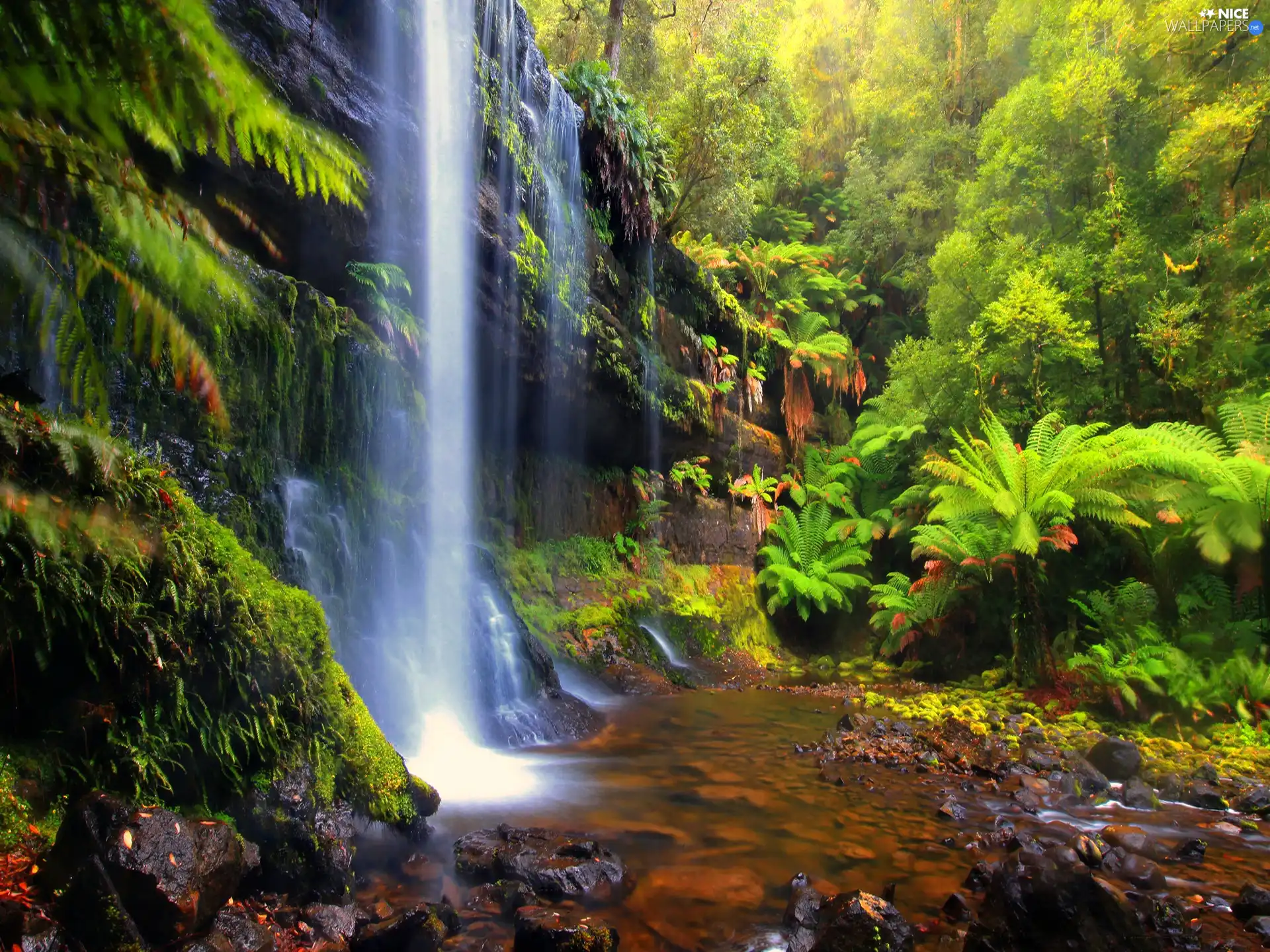 rocks, waterfall