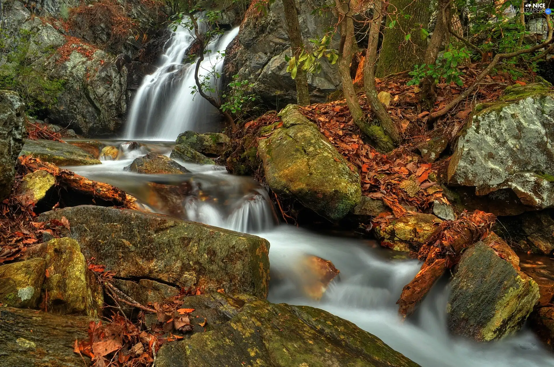 waterfall, River, Stones