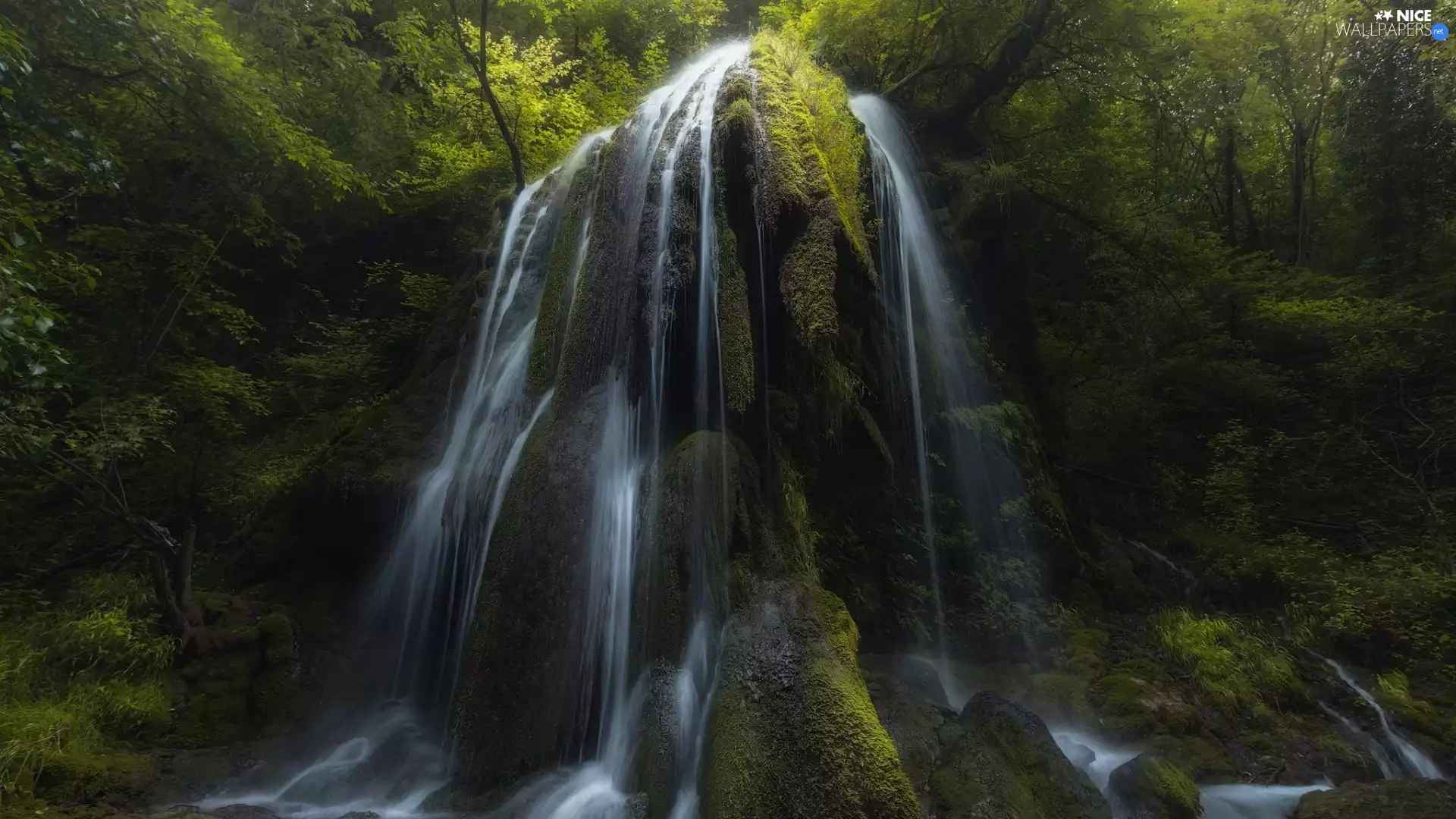 viewes, forest, Stones, waterfall, mossy, trees