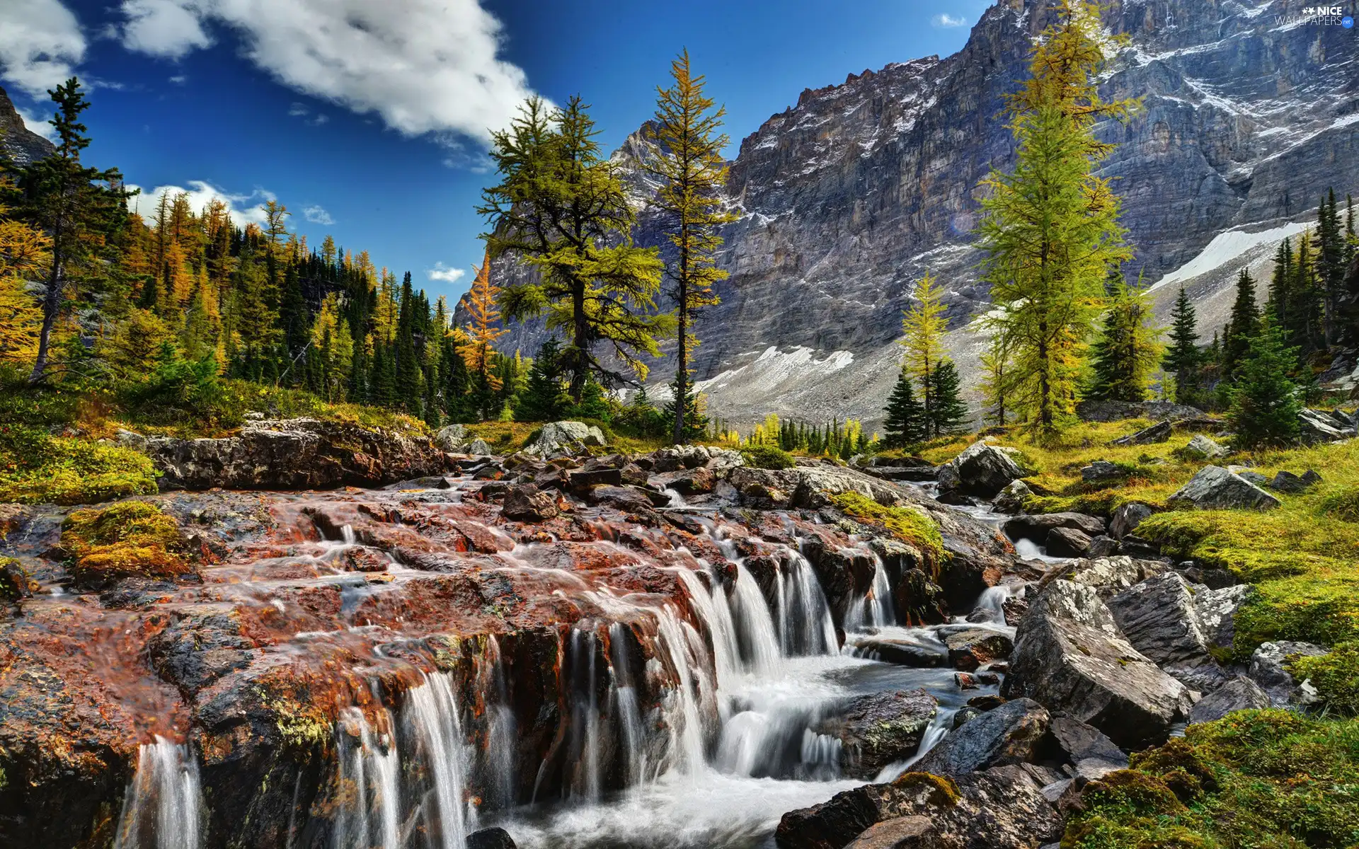 waterfall, Mountains, woods