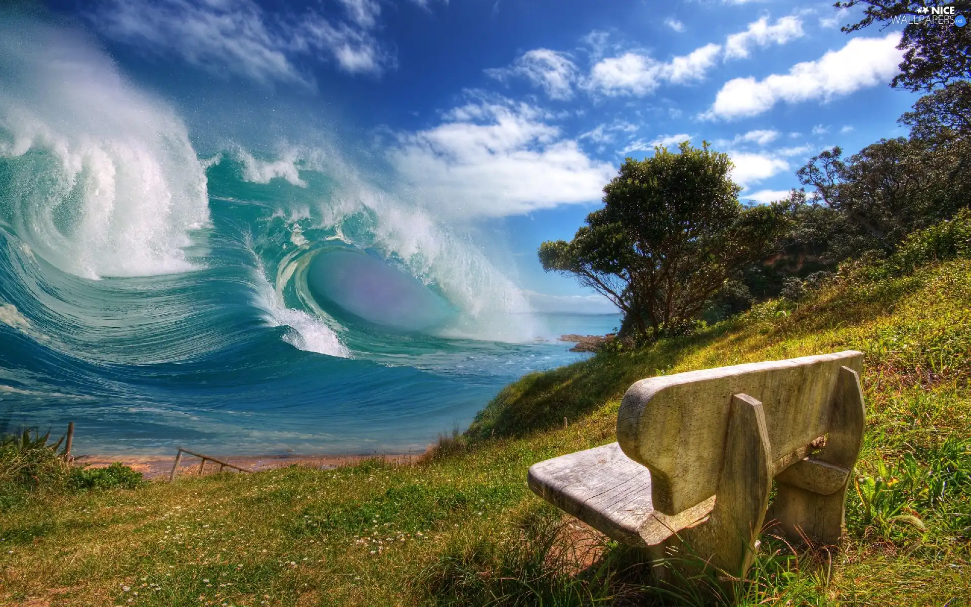 sea, Bench, Waves, Meadow