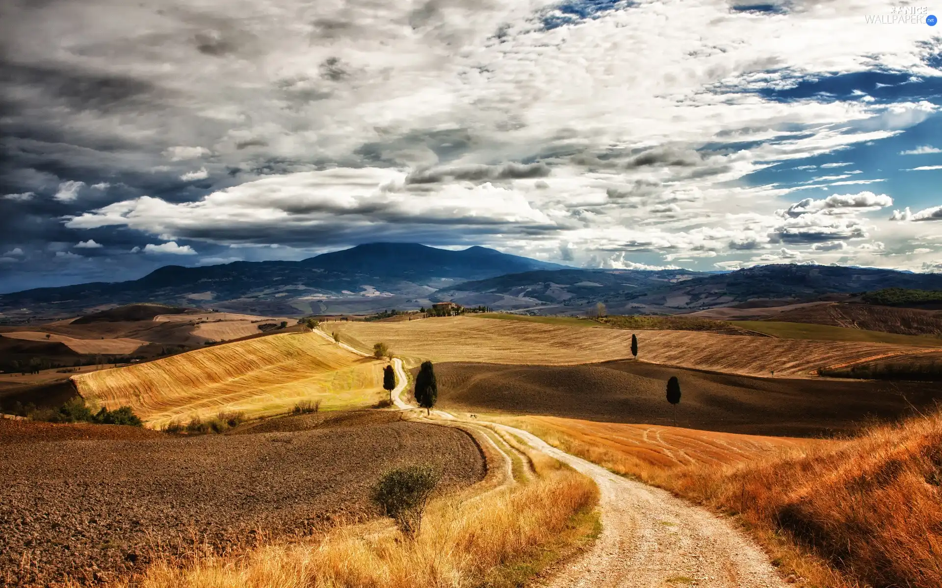 trees, Mountains, Way, autumn, viewes, field