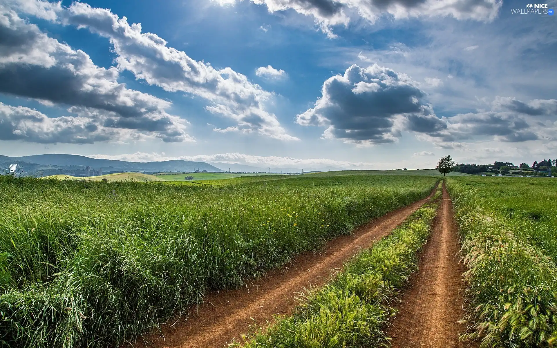 clouds, Field, Way, Field