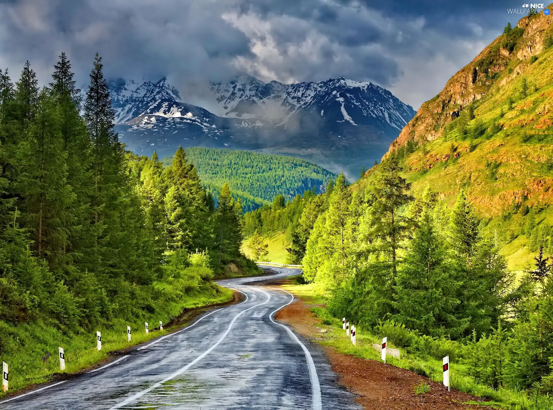 Way, clouds, trees, viewes, Mountains