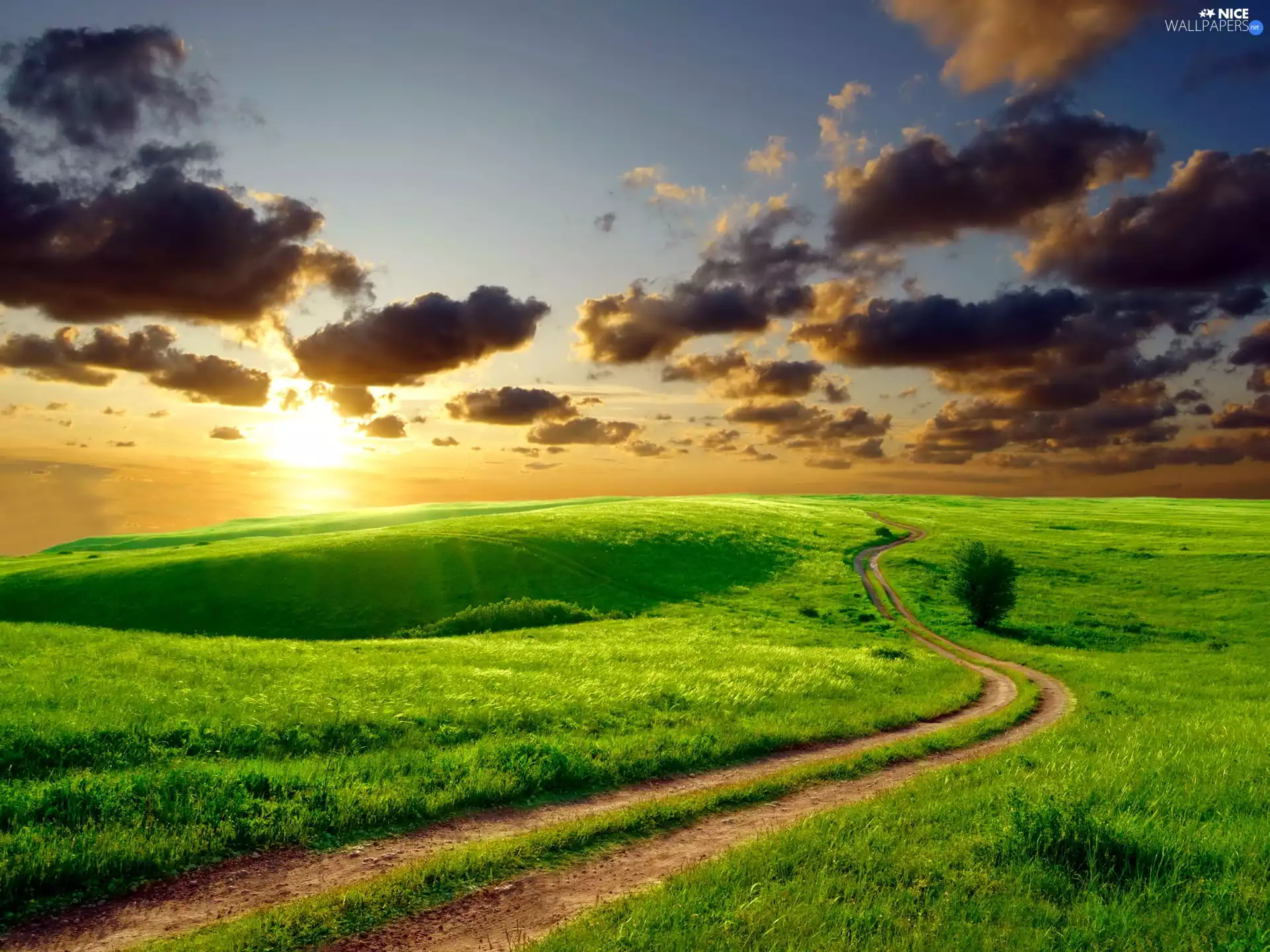 The setting, sun, Way, clouds, Field