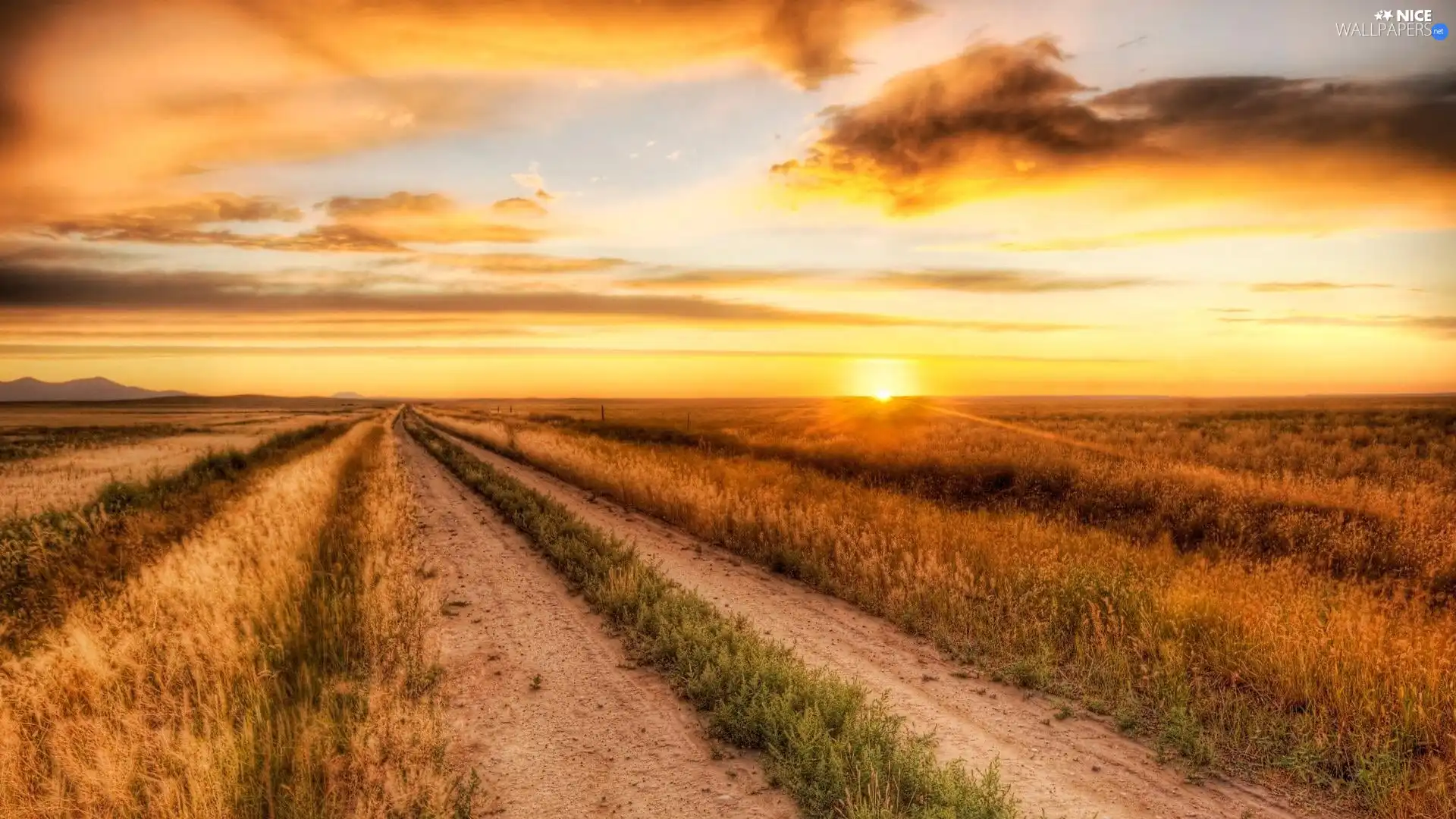 field, Great Sunsets, Way