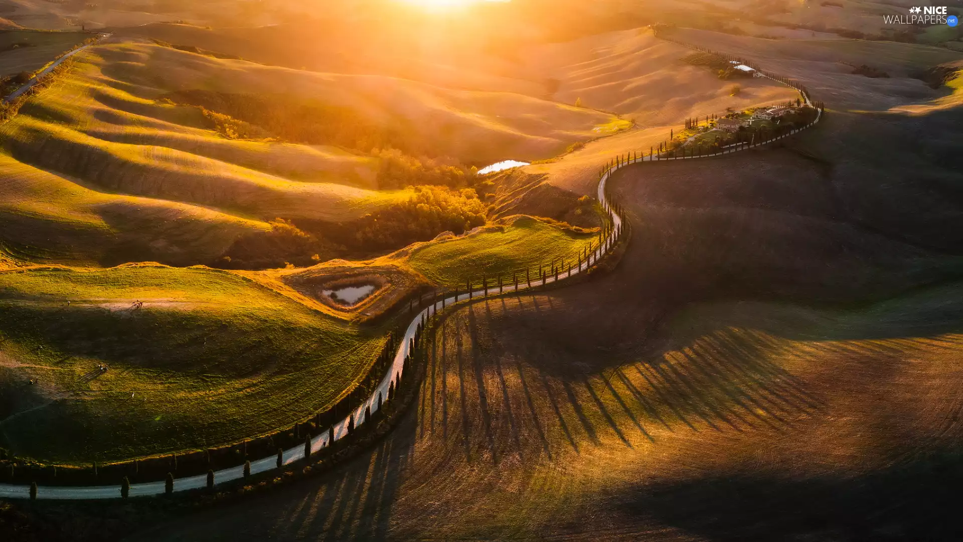 Tuscany, Italy, field, Way, The Hills