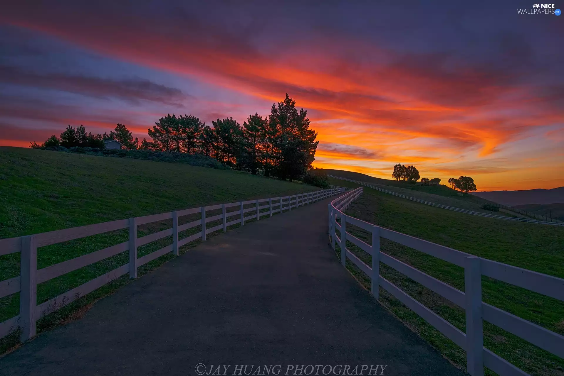 fence, The Hills, viewes, Great Sunsets, trees, Way