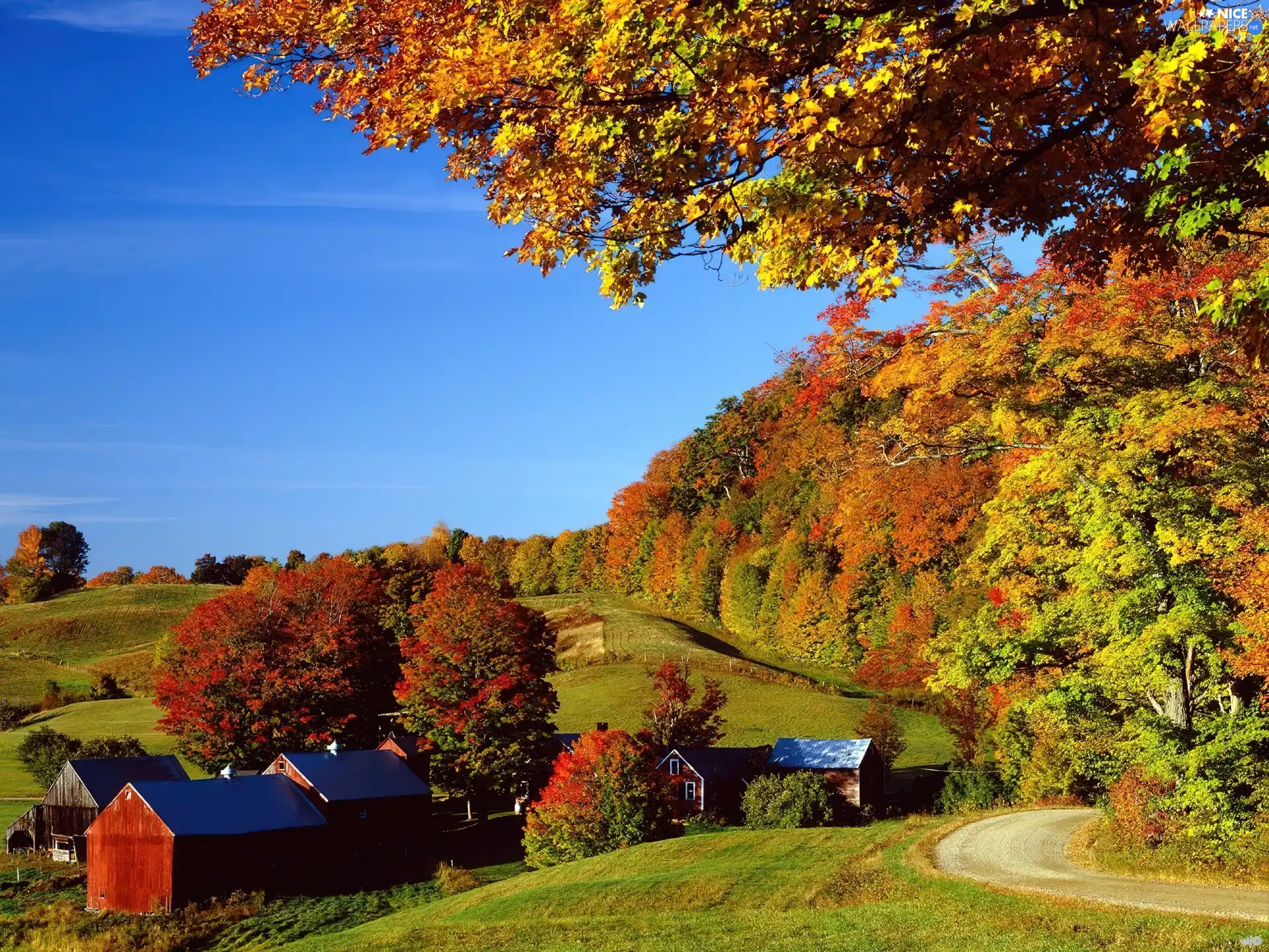 Way, autumn, Houses