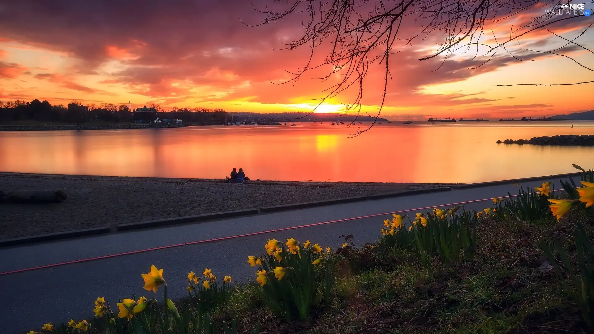 lake, Way, Jonquil, Great Sunsets