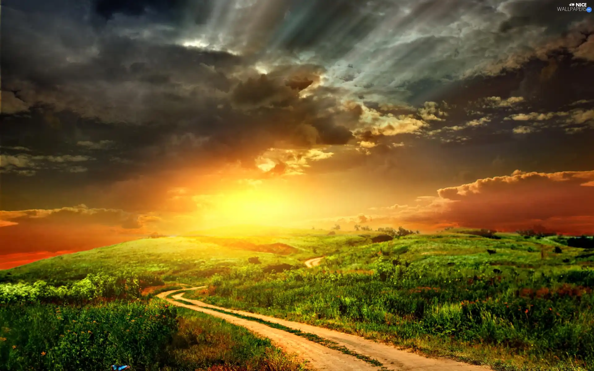 Way, medows, west, sun, clouds