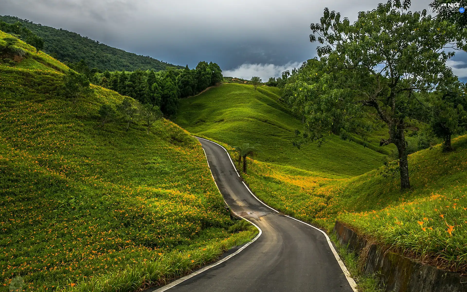 Way, medows, Mountains