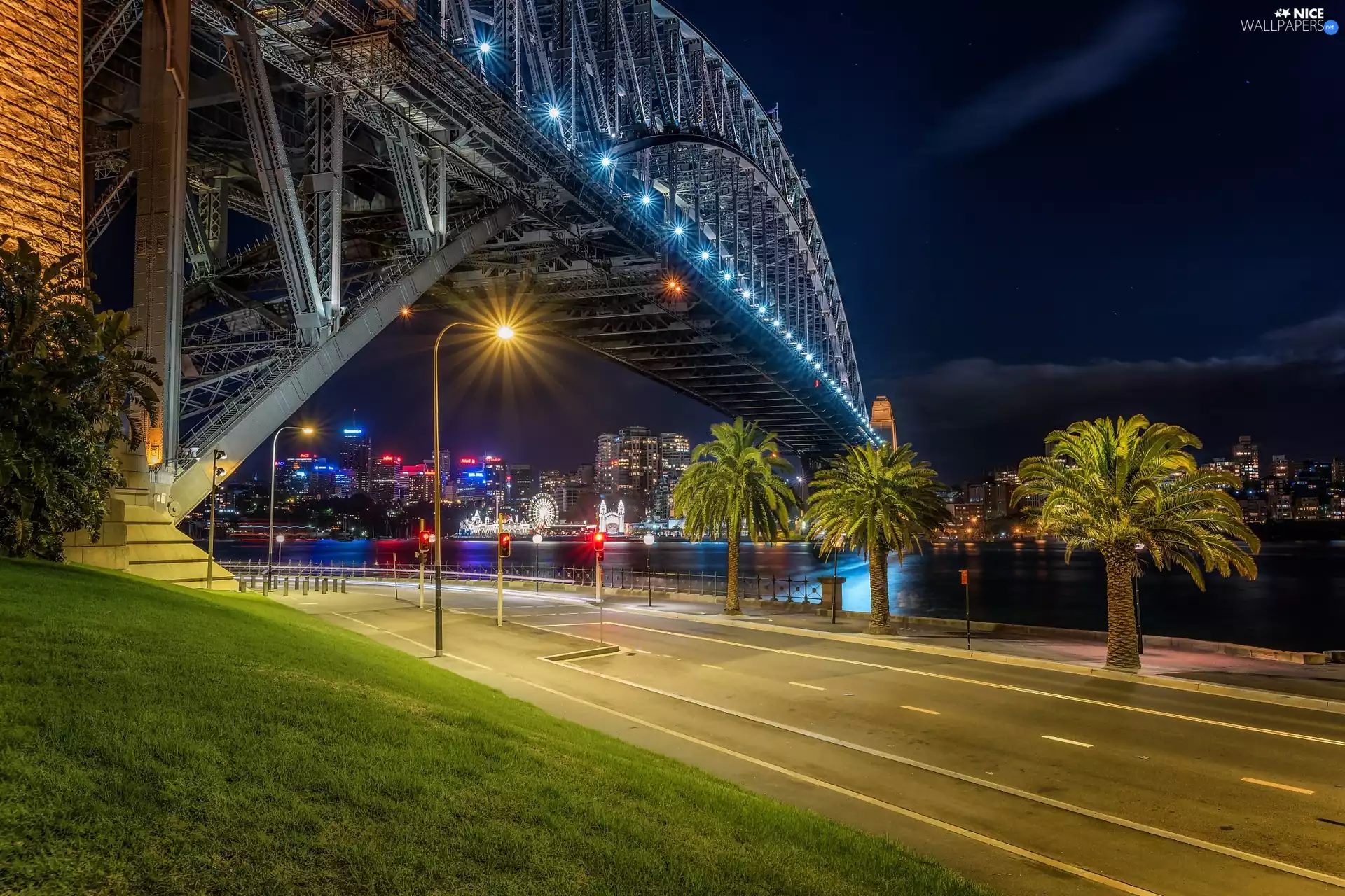 bridge, Night, Palms, River, light, Sydney, Australia, Way