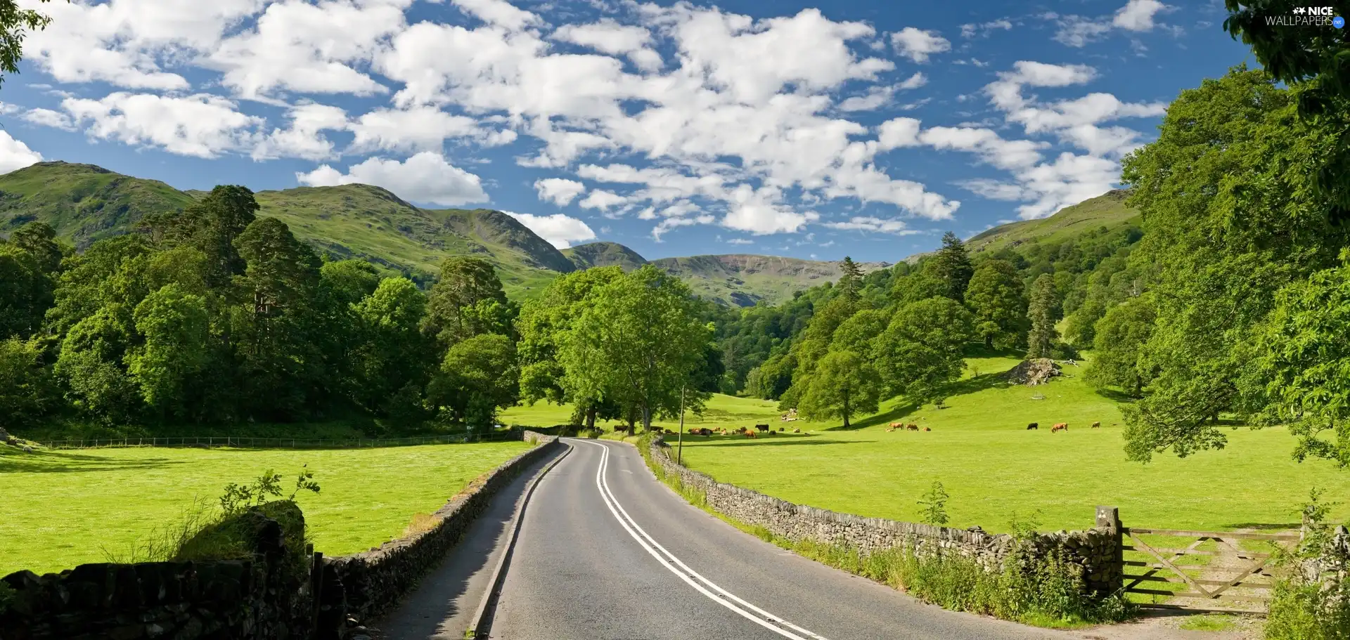 viewes, Mountains, Way, pasture, clouds, trees