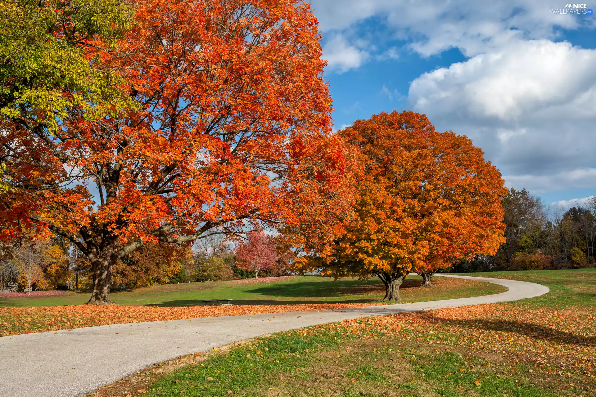 Bench, trees, clouds, Way, autumn, viewes
