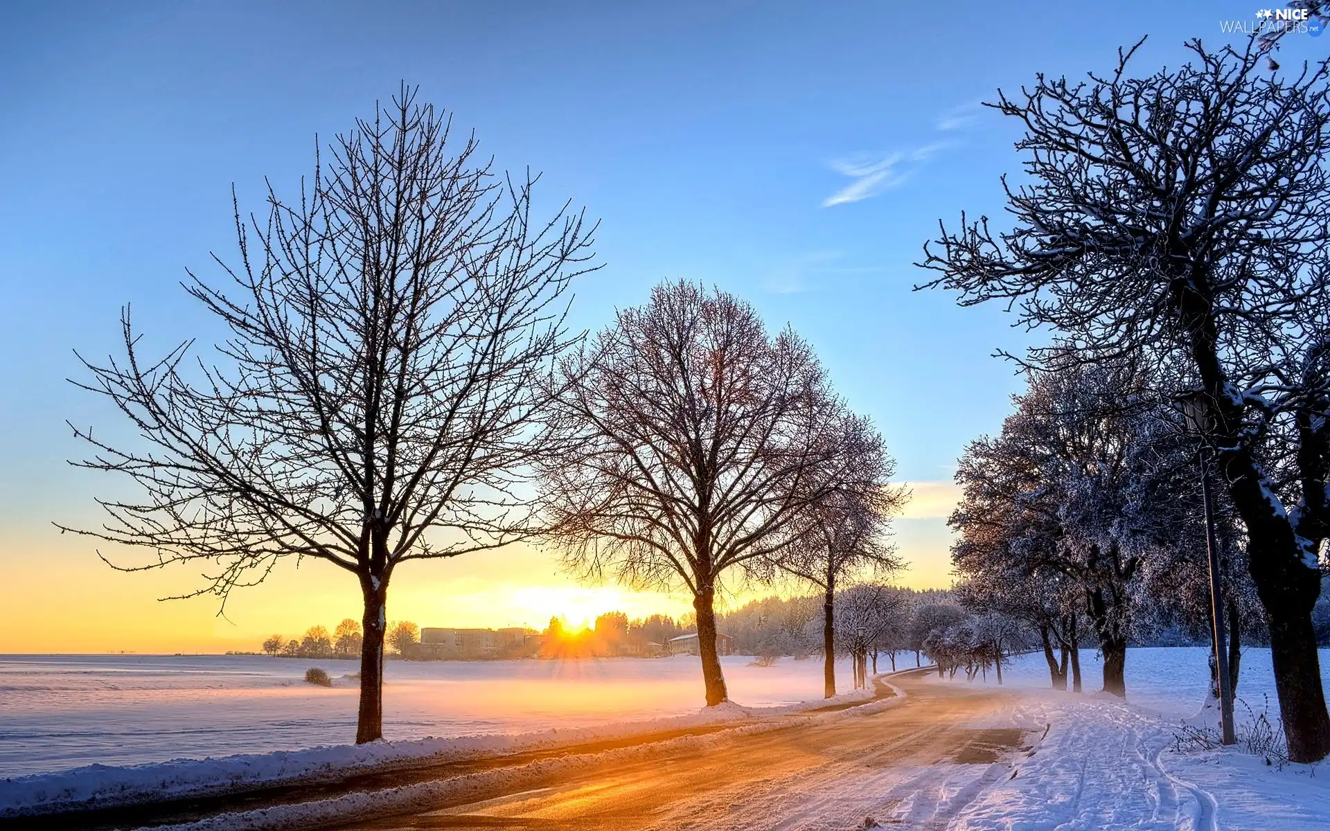 field, east, trees, sun, winter, Way, viewes