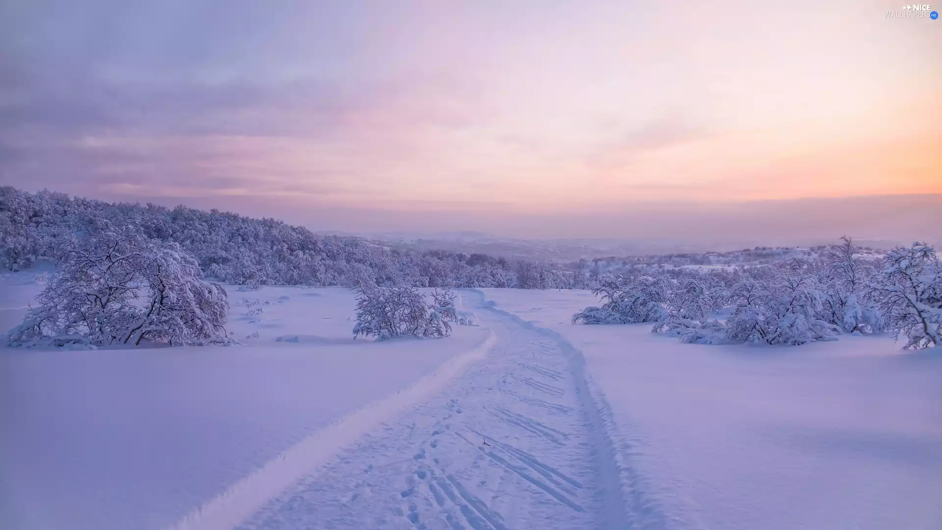 trees, Mountains, winter, Snowy, The Hills, viewes, Way