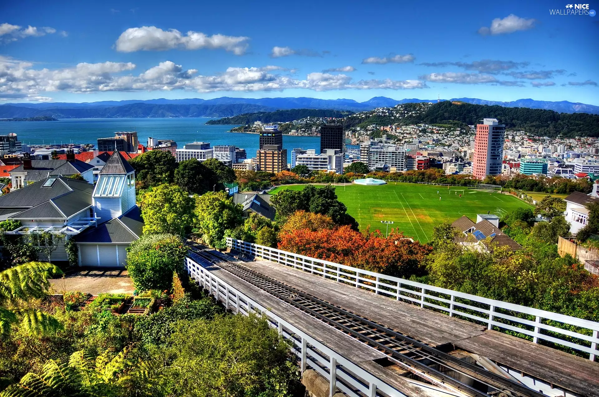 New Zeland, panorama, City ​​of Wellington