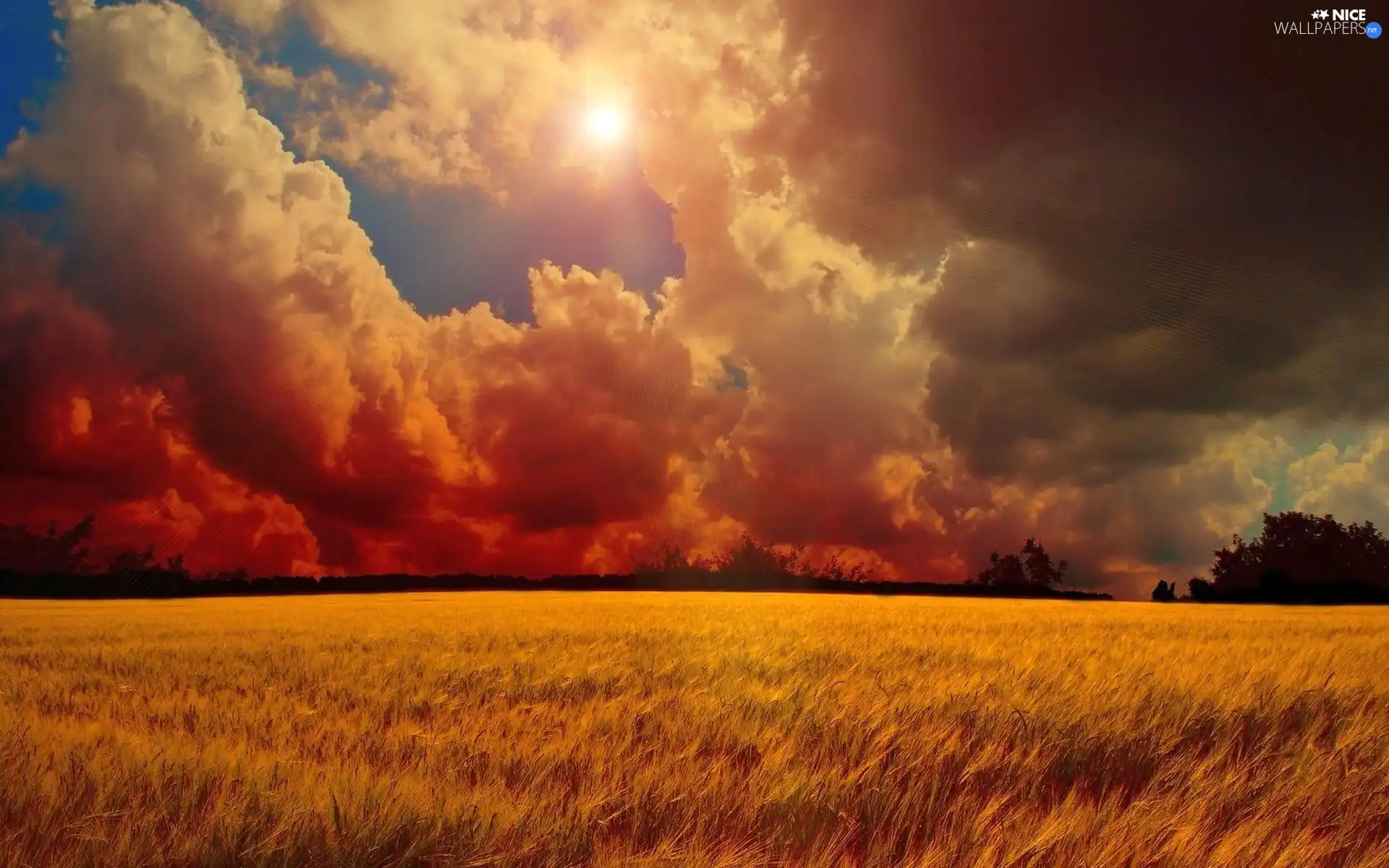 west, Field, clouds