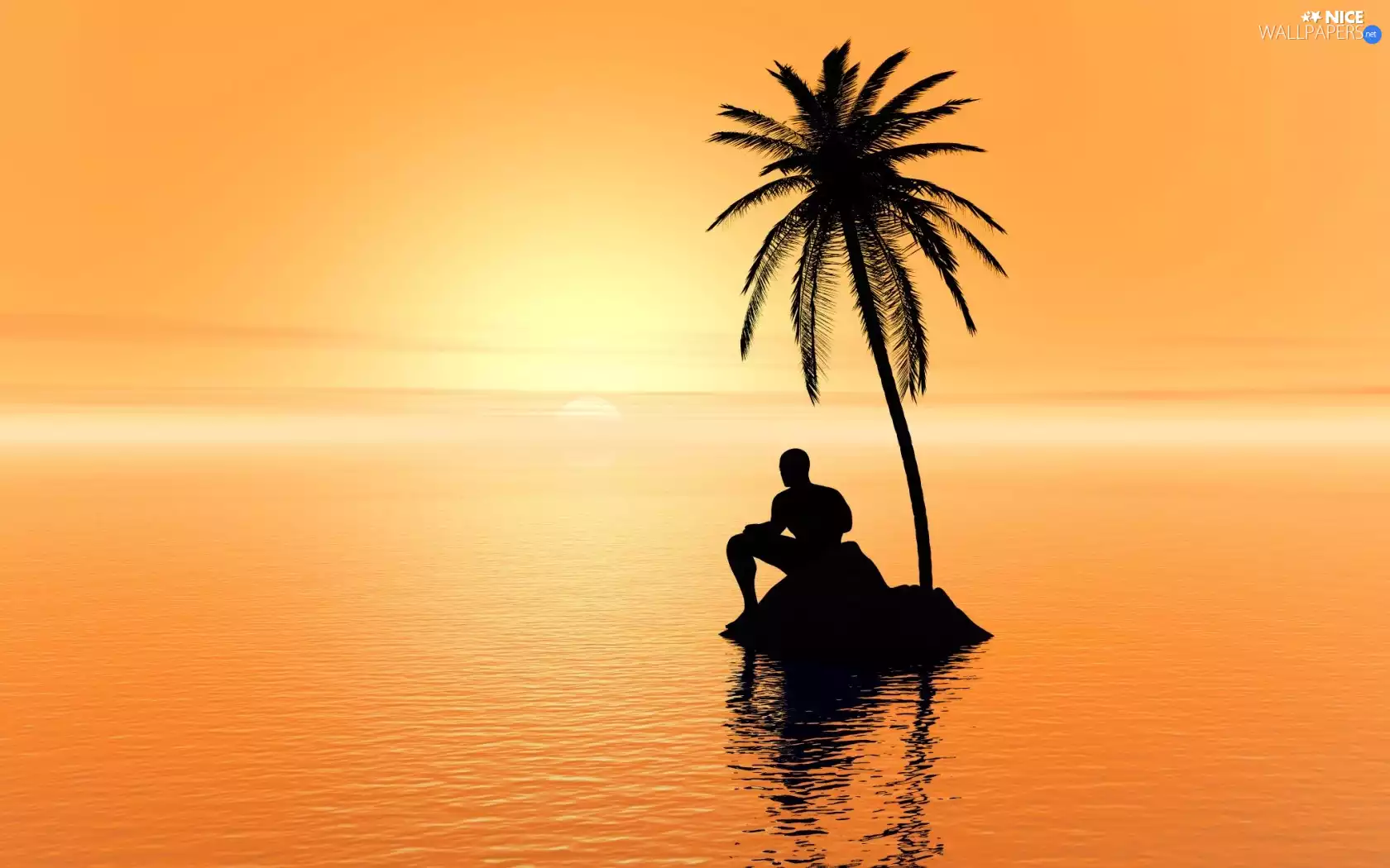 a man, sea, west, sun, Palm, Islet