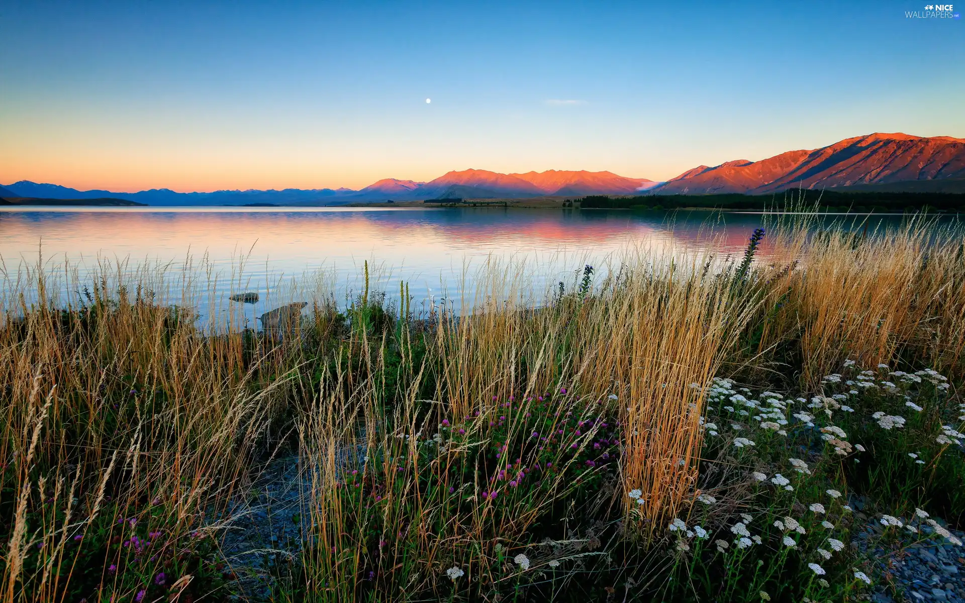 grass, River, west, sun, Flowers, Mountains