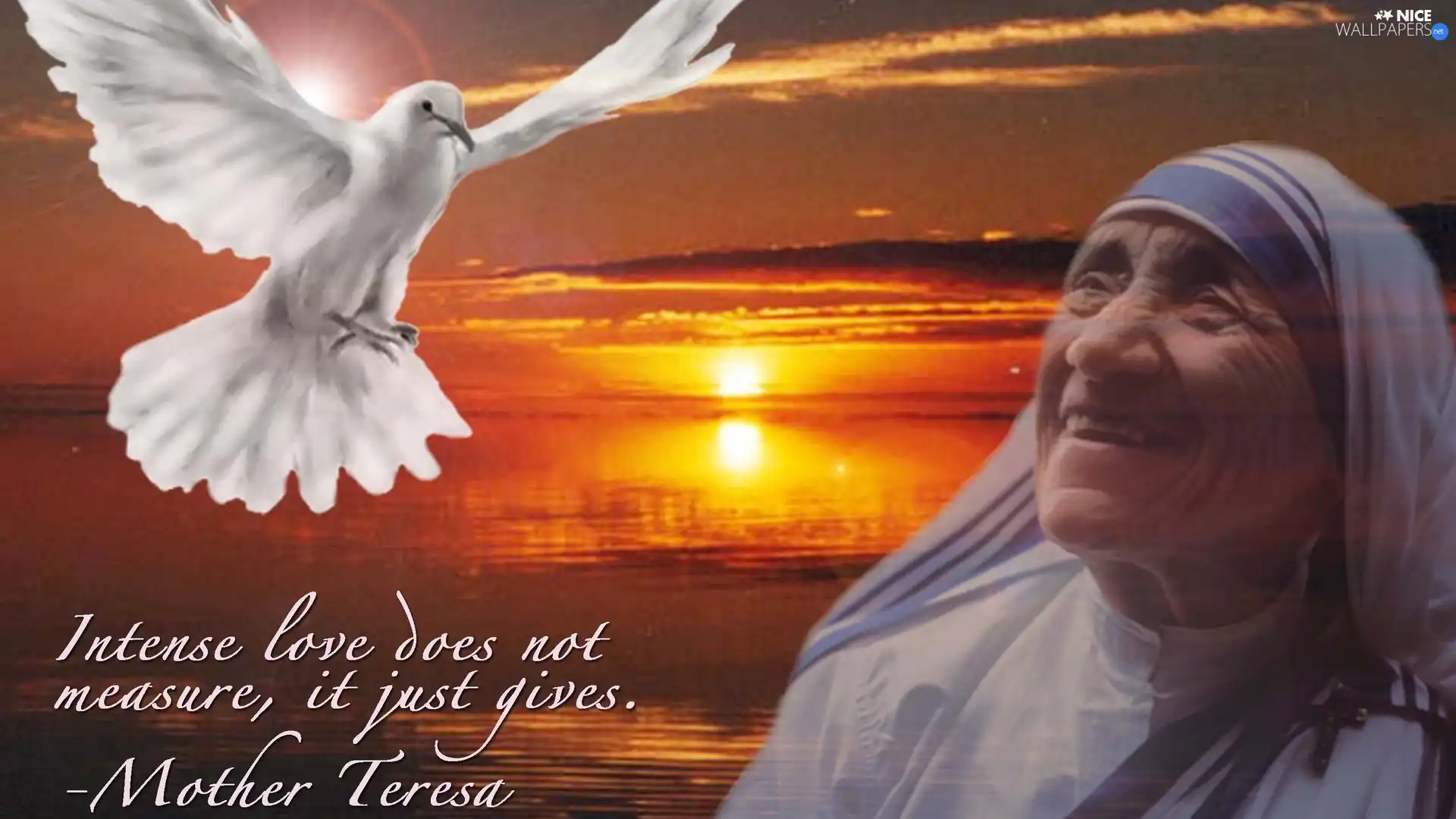 west, sun, Teresa, pigeon, mother