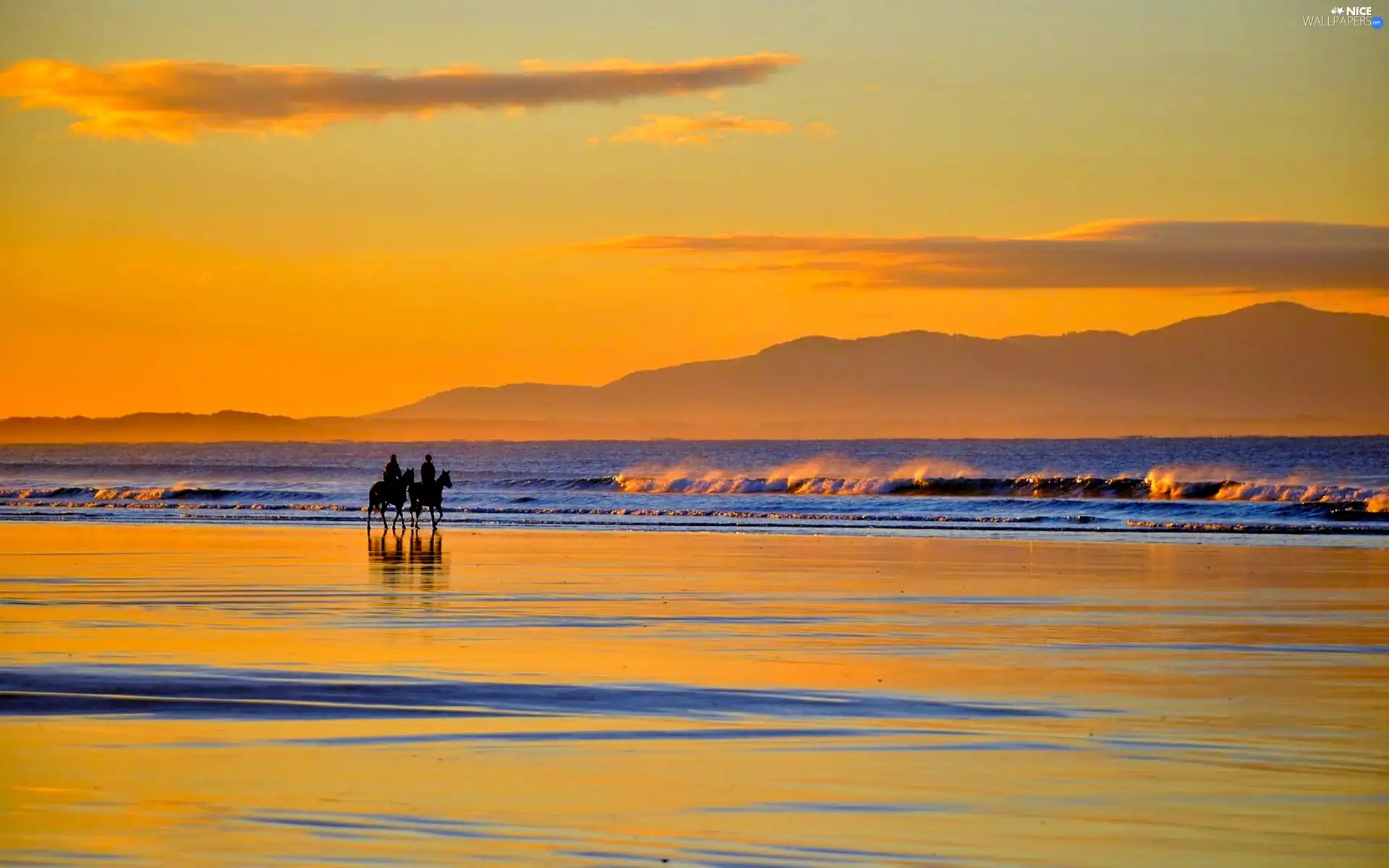 west, sun, beach, riders, sea