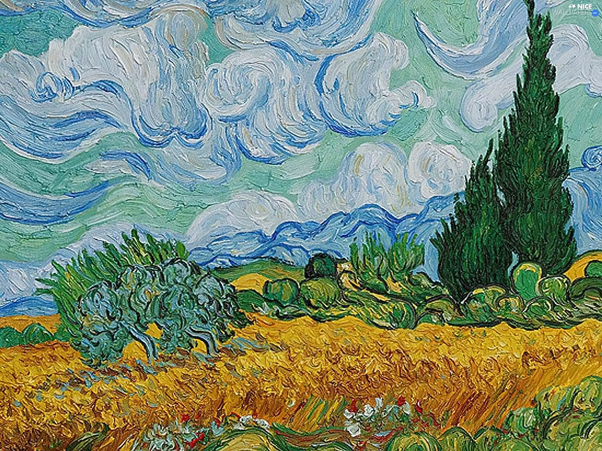 DBZ, cypresses, Field, wheat, Vicent Van Gogh