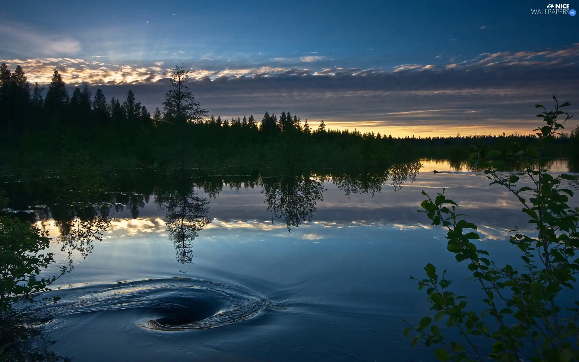 whirlwind, lake, forest